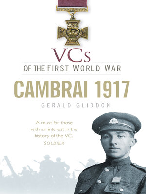 cover image of VCs of the First World War